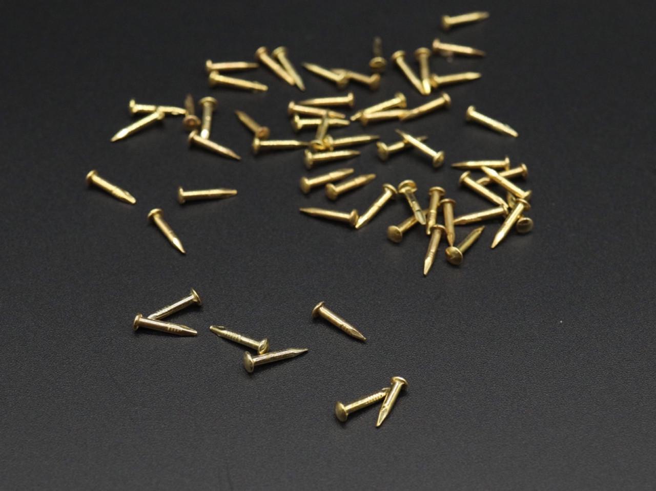 Гвозди декоративные с большой шапочкой 1,5х10 мм 100 г Золотистый (321912458) Гвозди декоративные с большой шапочкой 1,5х10 мм 100 г Золотистый (321912458)