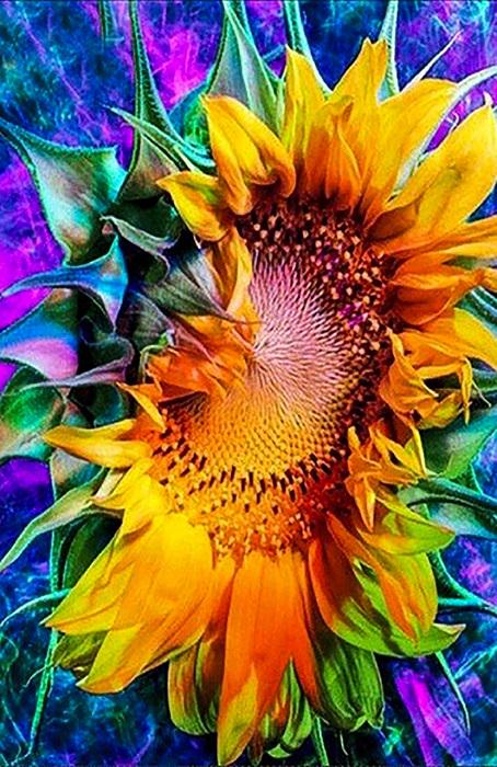 Алмазна мозайка "Райдужний соняшник" 24x34 см (АЛК-060)