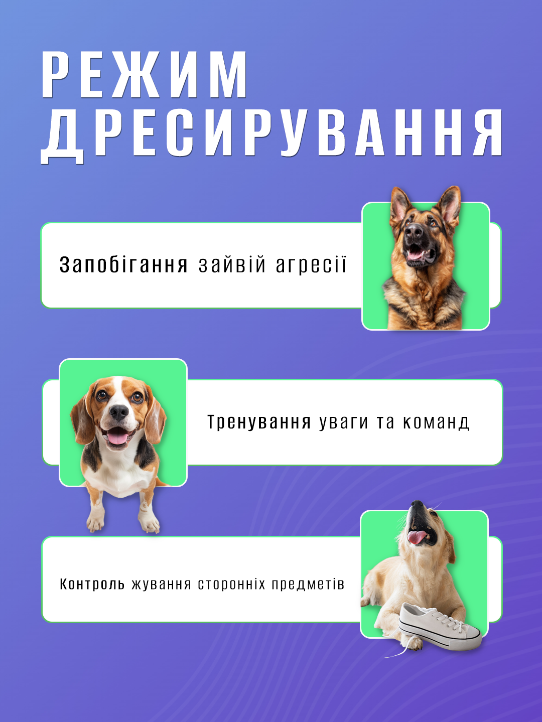 Отпугиватель с лазером Andowl от собак usb аккумуляторный Q-QG93Х1 Черный (dec4e0f3) - фото 4