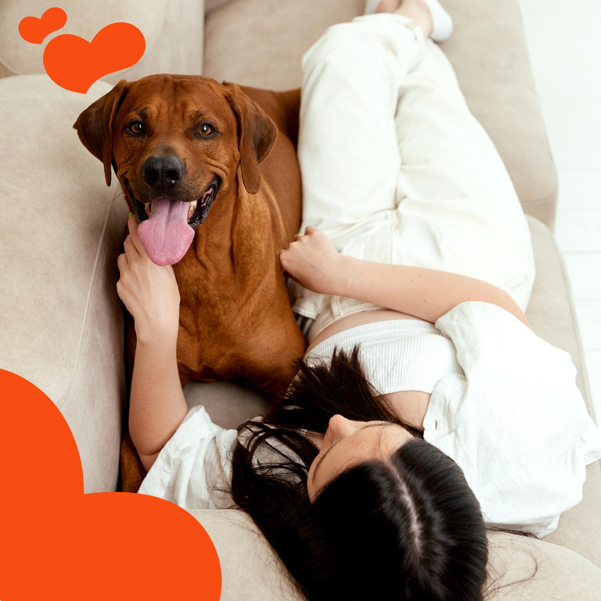 Ласощі для собак від 3 місяців Mavsy Refined jerky BBQ VENISON STEAK WITH SUN-DRIED TOMATOES ON A BED OF PUMPKIN 100 г - фото 5 Ласощі для собак від 3 місяців Mavsy Refined jerky BBQ VENISON STEAK WITH SUN-DRIED TOMATOES ON A BED OF PUMPKIN 100 г - фото 5