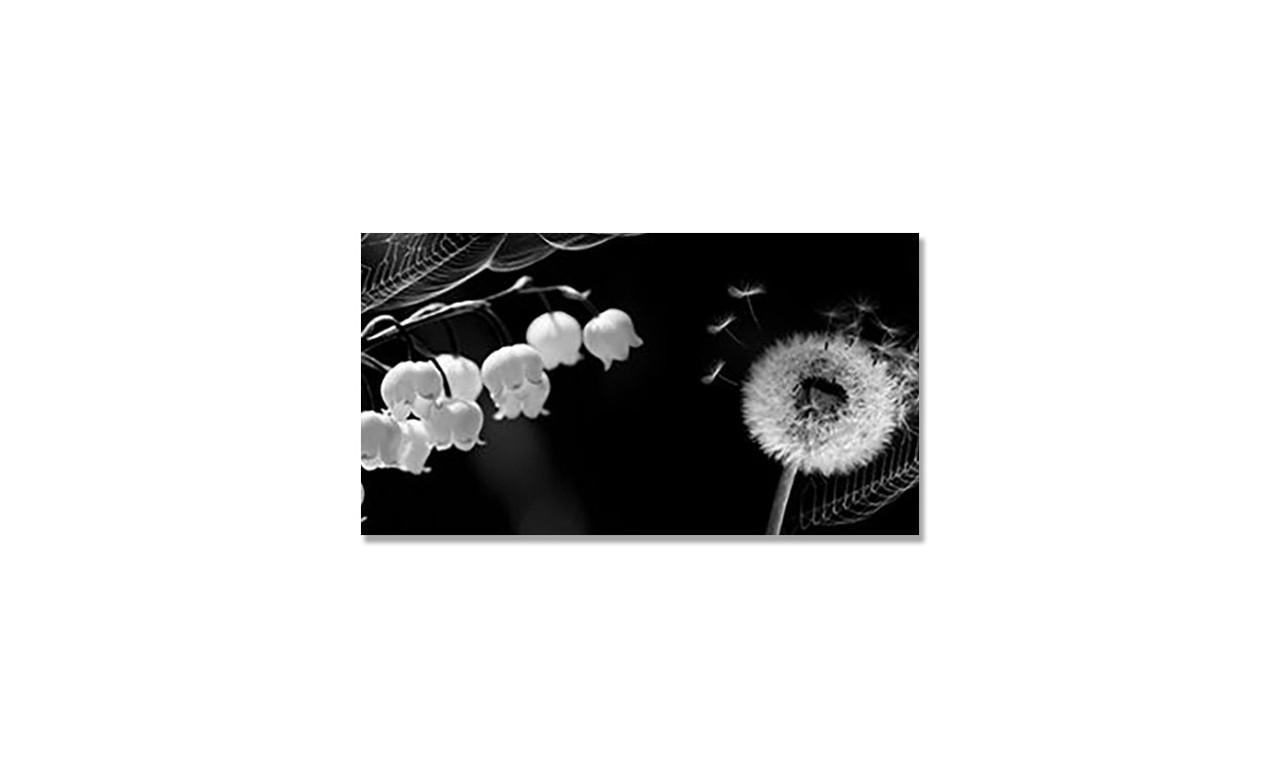 Наклейка виниловая на стол Zatarga Одуванчик/Ландыш 650х1200 мм (1289776858)