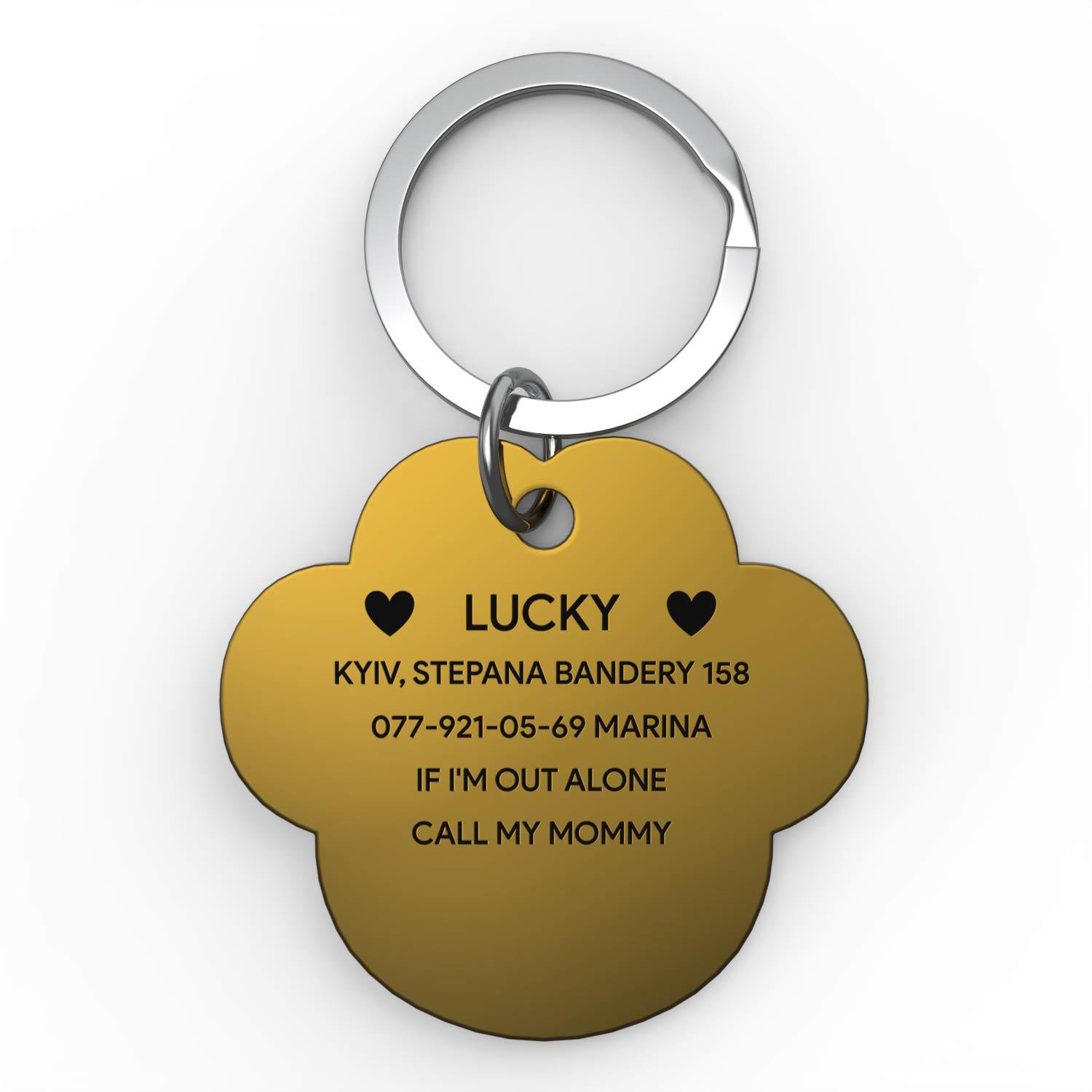 Адресник для собак на ошейник Cloud Gold