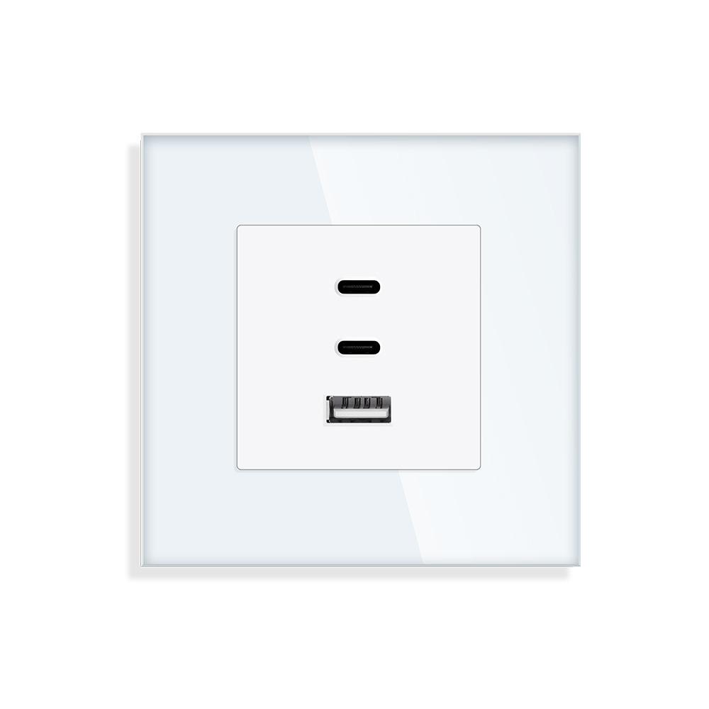 Розетка настенная LUXION USB Type-C с 65Вт дизайнерская стеклянная рамка Белый (LX-65W-WT)