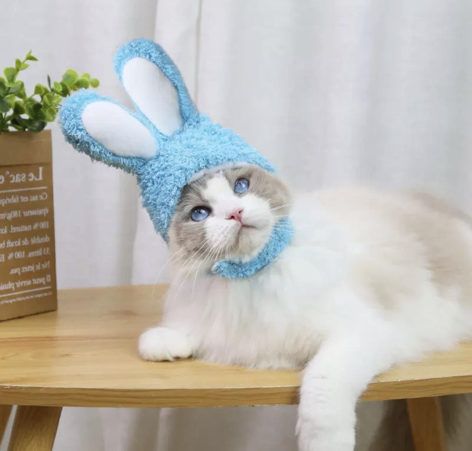 Шапка с ушками Bunny S Blue - фото 4 Шапка с ушками Bunny S Blue - фото 4