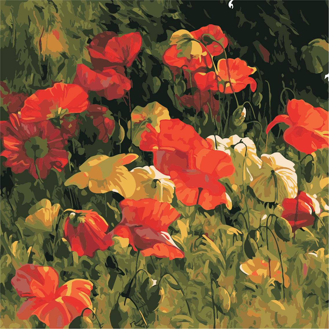 Картина по номерам Art Story Бархатные маки 40x40 см (AS0941)