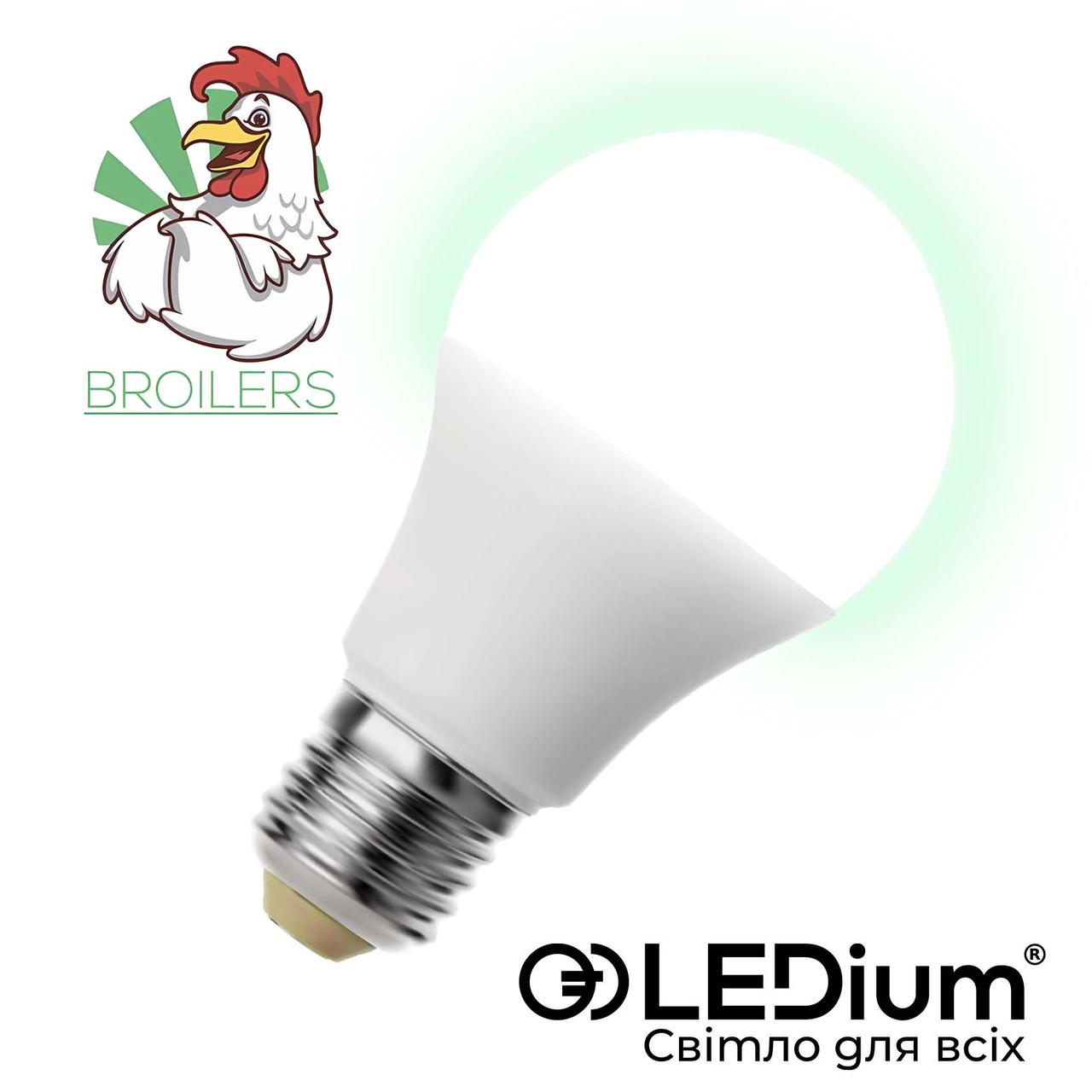 Лампа LEDium BROILERS 13W E27 A60 8200k 1560Lm IP65 (17474) - фото 3 Лампа LEDium BROILERS 13W E27 A60 8200k 1560Lm IP65 (17474) - фото 3