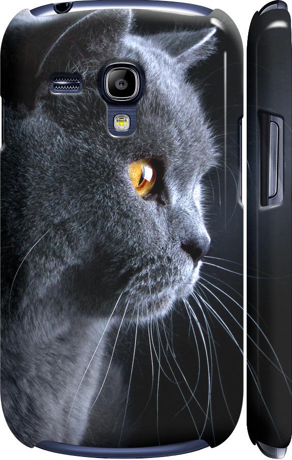 Чехол на Samsung Galaxy S3 mini Красивый кот (3038m-31-42517)