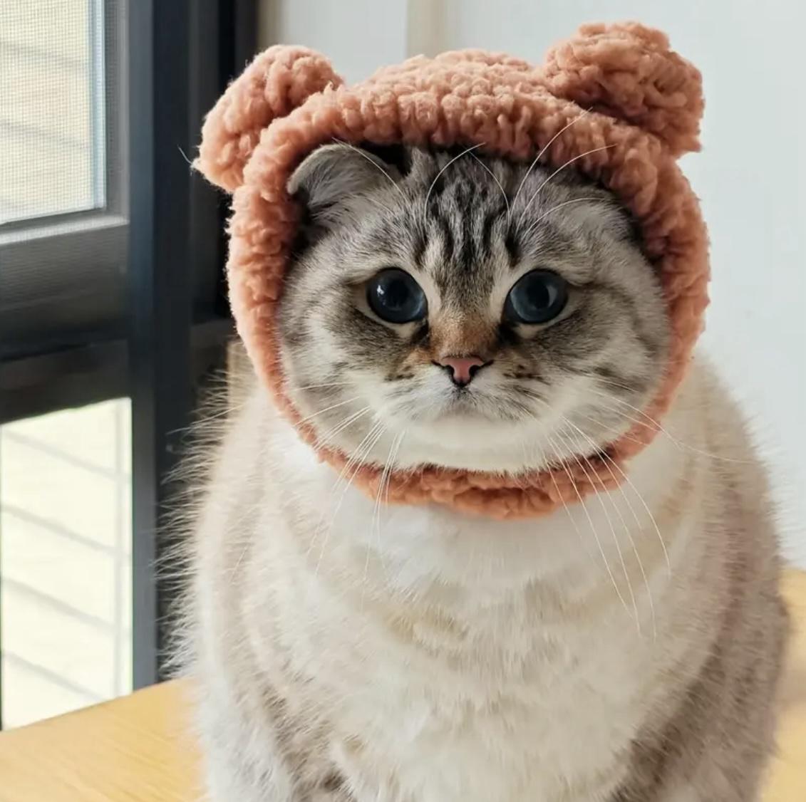 Шапка с ушками для кошек/собак Pet 2-4.5 кг Brown - фото 10