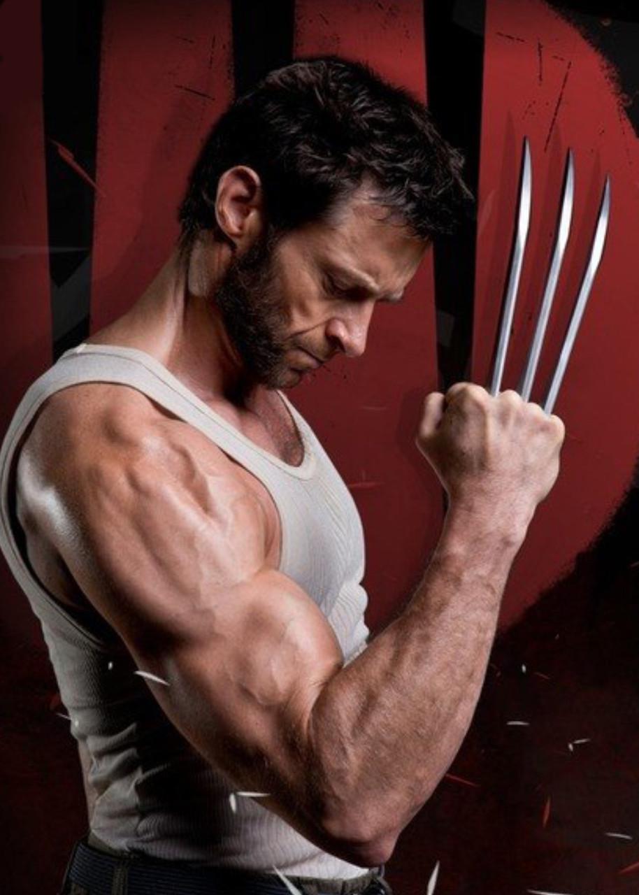 Картина GeekLand Wolverine Хью Джекман (WR.09.053)