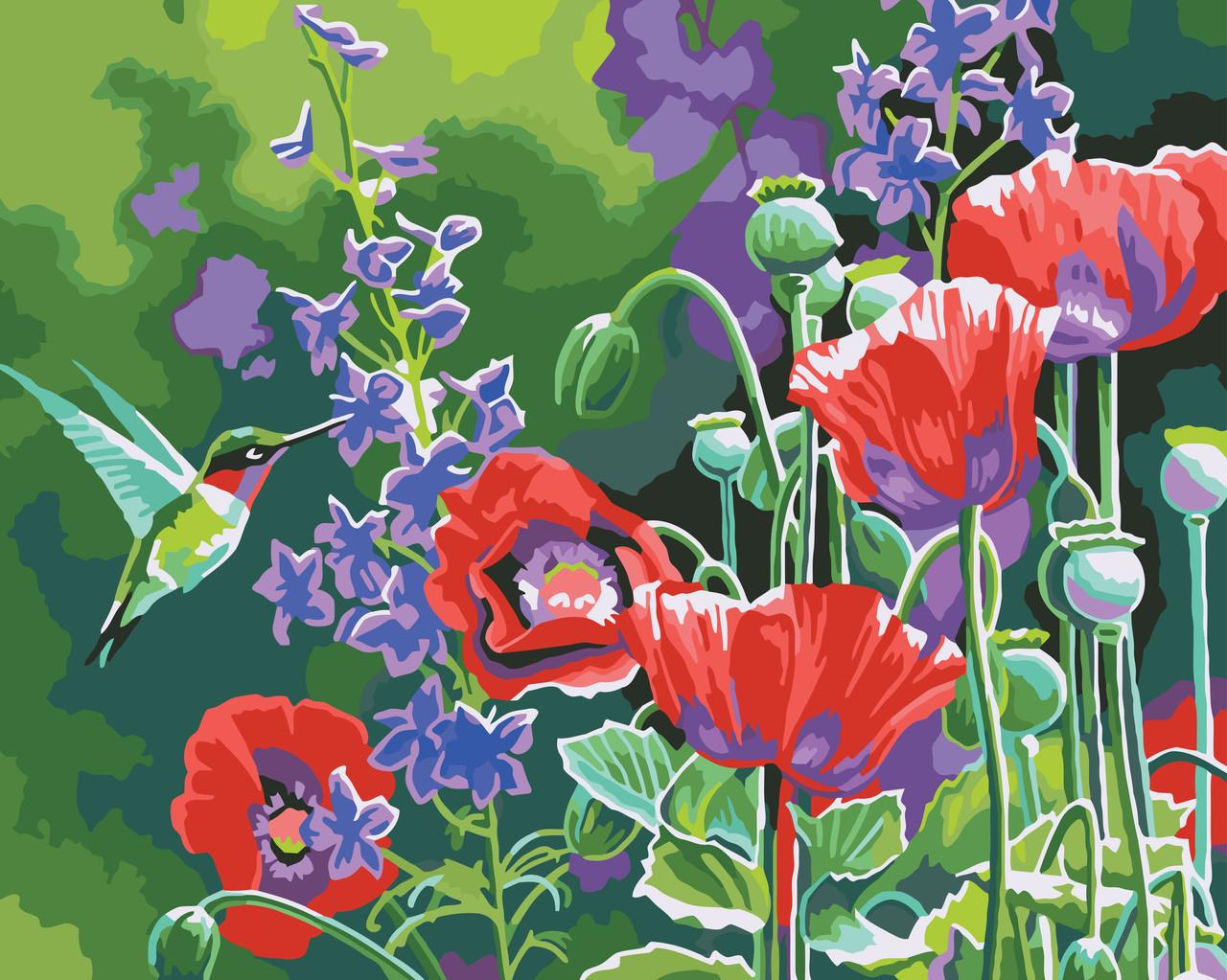 Картина по номерам Идейка Колибри 40x50 см (skl-КНО2432)