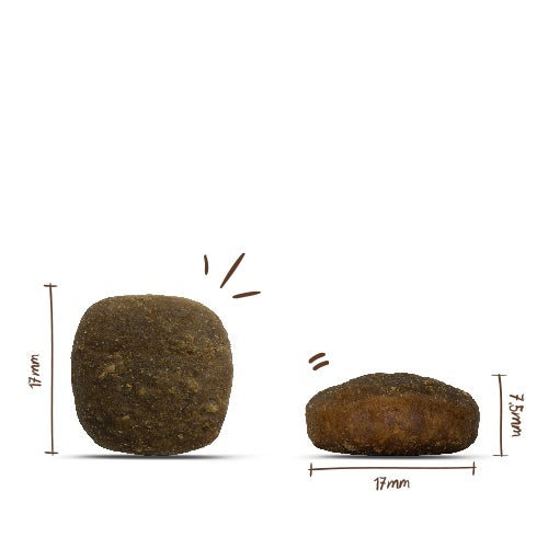 Полувлажный корм для собак Bosch Soft Chicken&Banana с курицей и бананом 2,5 кг - фото 2