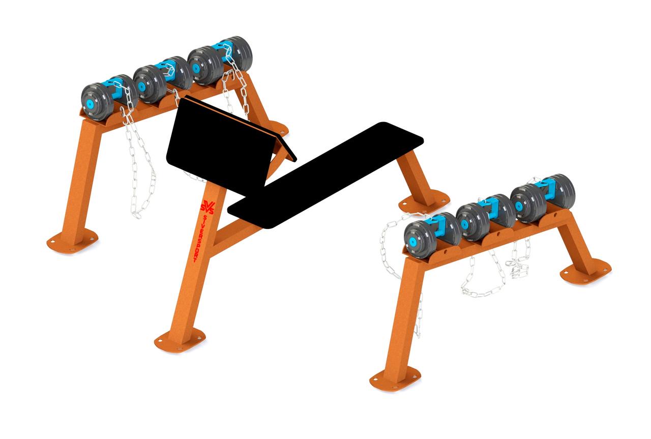 Тренажер гантельний ряд SiverSport SL-611 2х20/2х25/2х30 кг