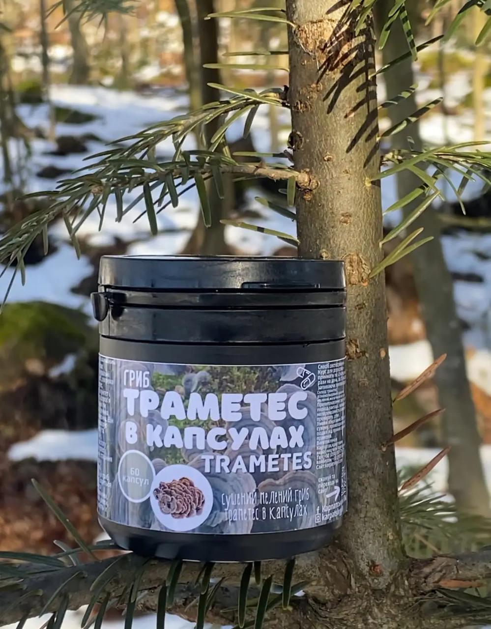 Траметес в капсулах (2462817973)