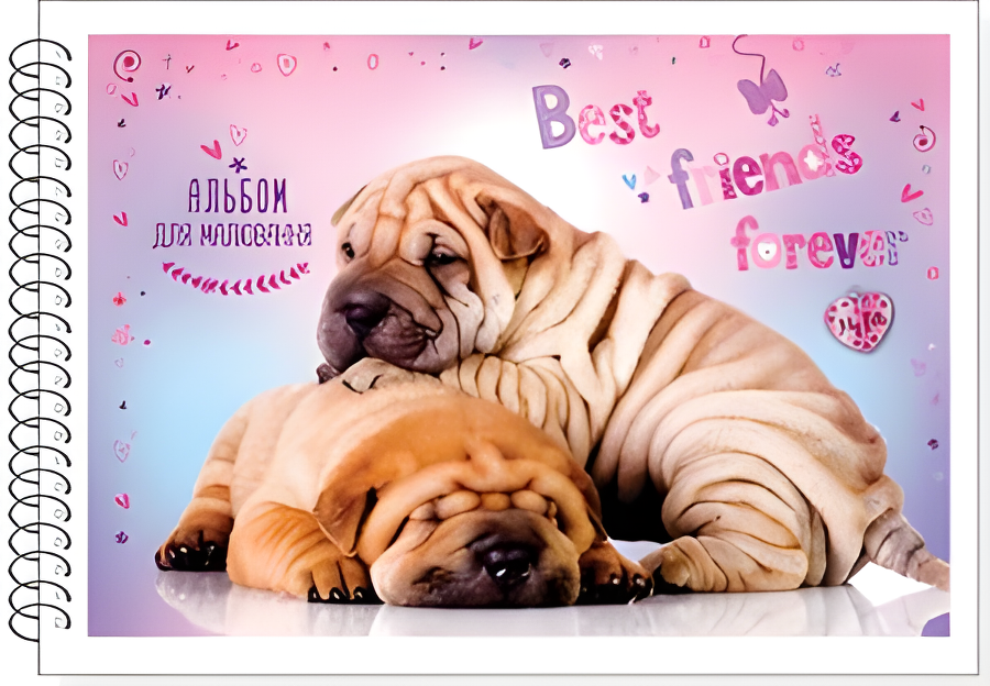 Альбом для рисования Best friends forever Руслан 30 листов на спирали А5 10 шт./уп. (RLN10039)