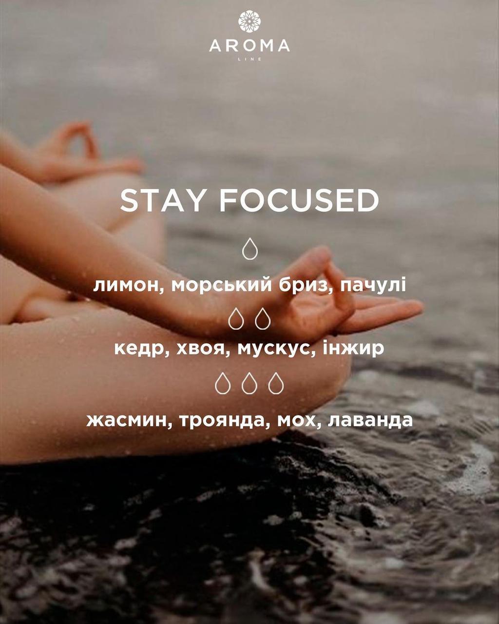 Ароматизатор для виготовлення свічок Stay Focused 10 г (SOM001680) - фото 2