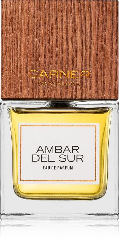 Парфюмированная вода Carner Barcelona Ambar Del Sur 100 мл (2463_4211)
