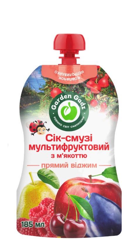 Сок-смузи Gadz мультифруктовый с мякотью 0,185л 10 шт. (2801120621)