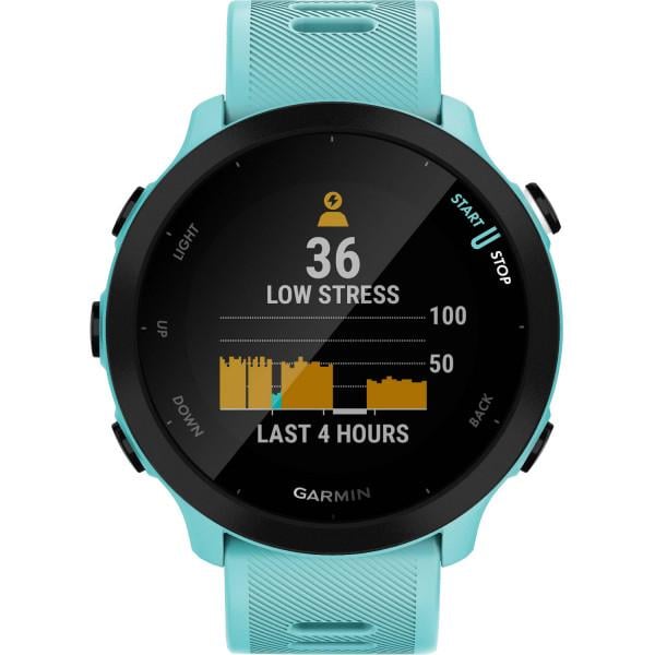 Смарт-годинник Garmin Forerunner 55 Aqua (010-02562-12)