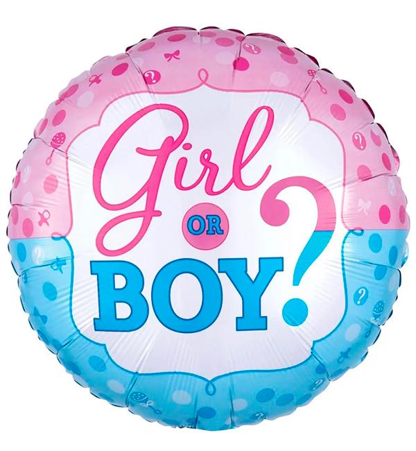 Воздушный шар Girl or Boy 45 см (11022762)