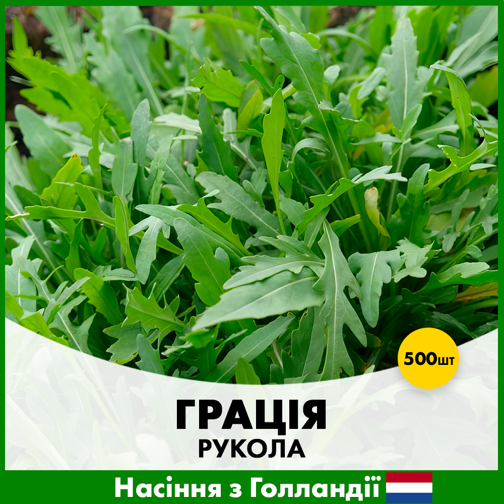 Семена руколи гация Enza Zaden 500 шт. (R50124)
