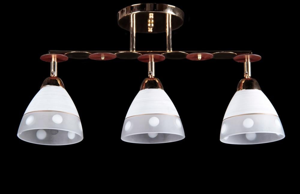 Люстра с плафонами Ray L67304/3 FG (IR006129)