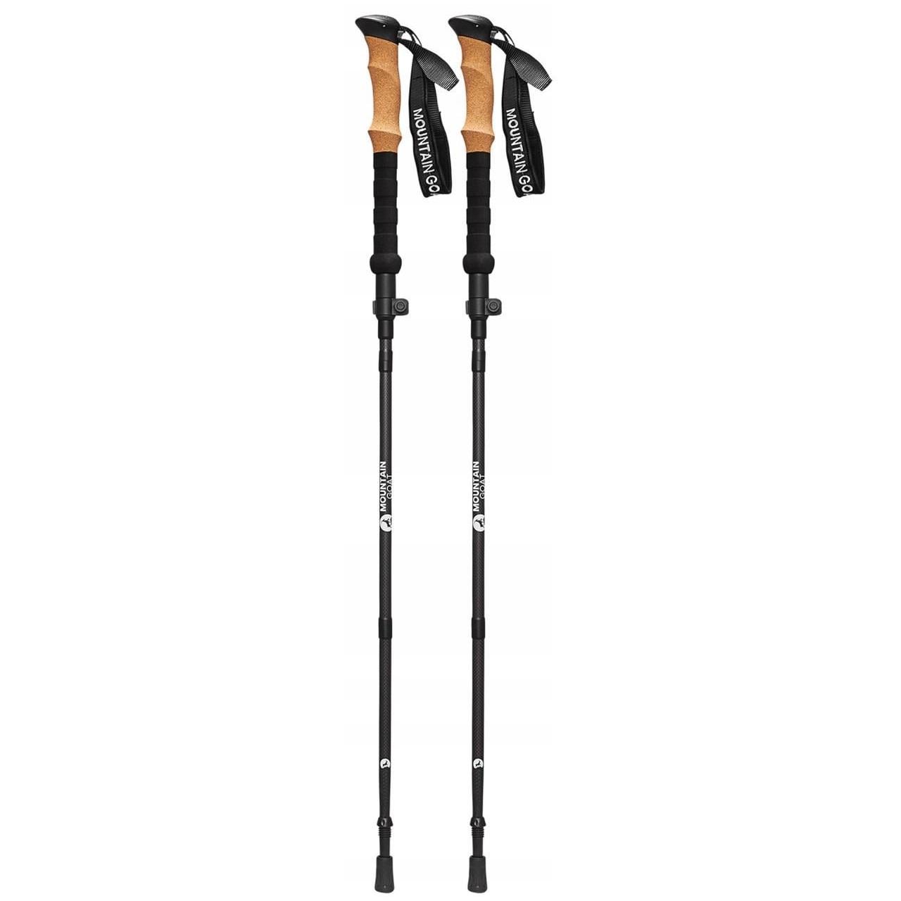 Трекінгові палиці Mountain Goat Active 38-130 см Black (P-5905973404679)