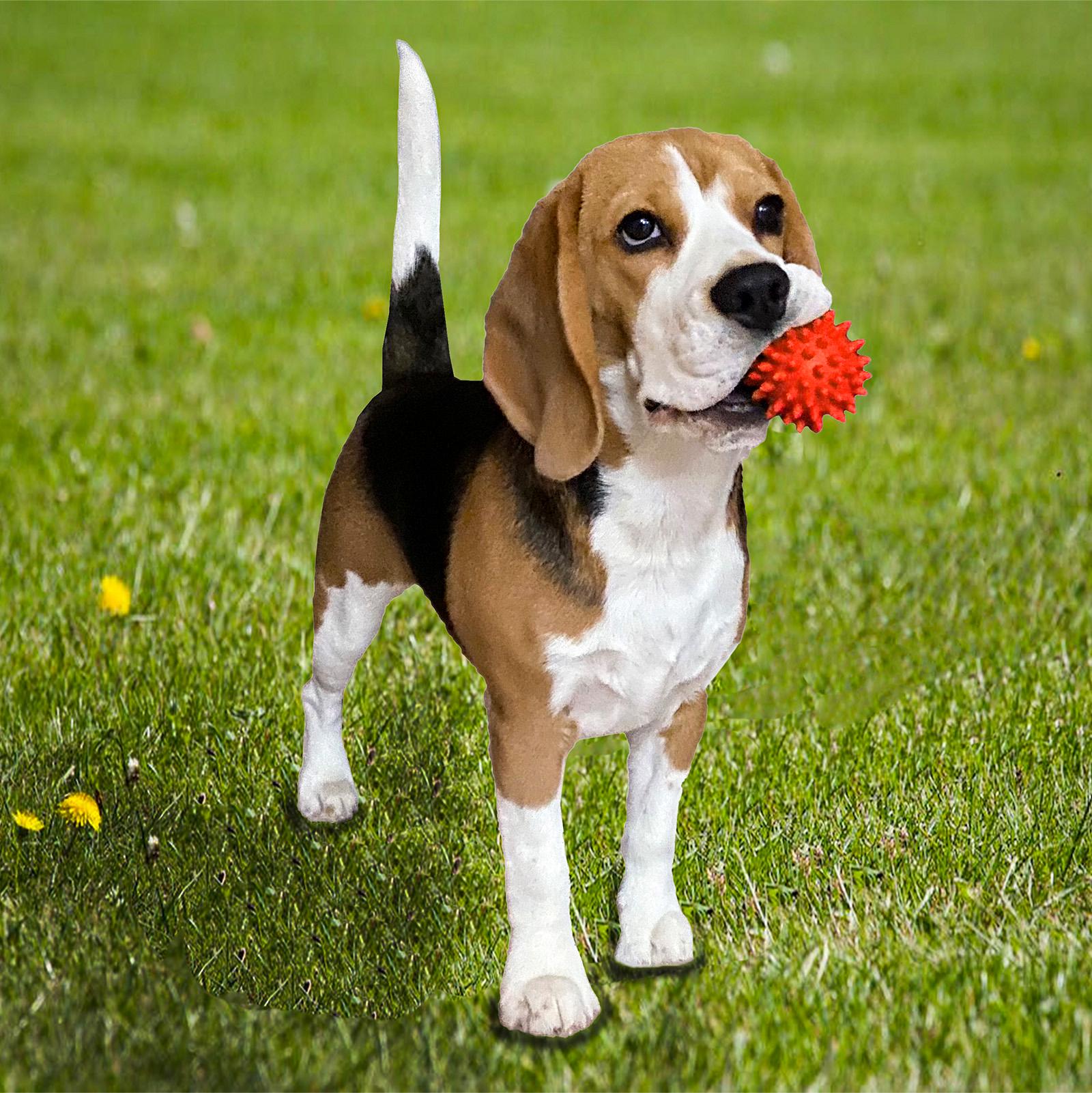 М'яч із шипами OSPORT ПВХ 6 см Червоний (R-00009) - фото 3