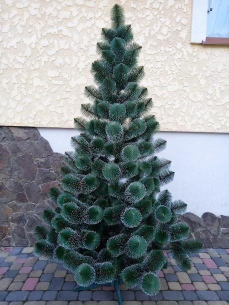 Сосна Засніжена зелена 2,1 м