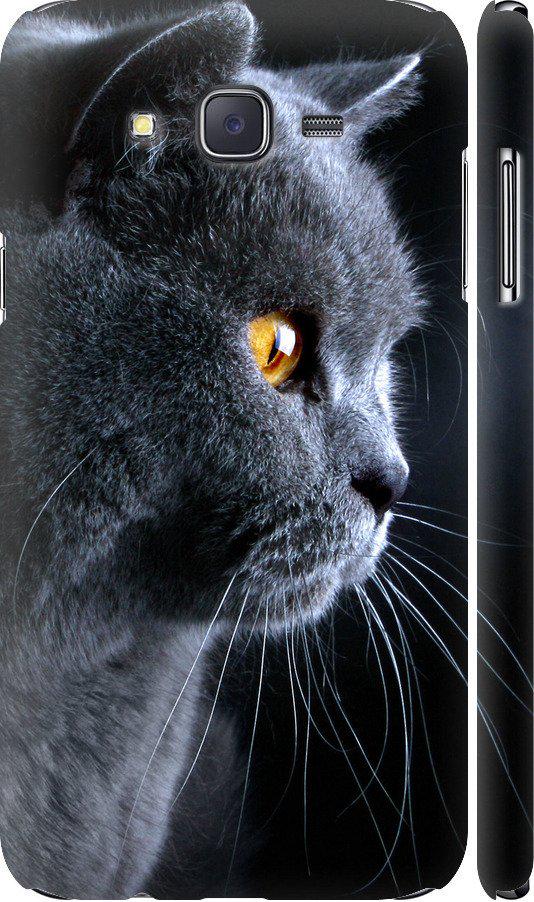Чехол на Samsung Galaxy J7 J700H Красивый кот (3038m-101-42517)