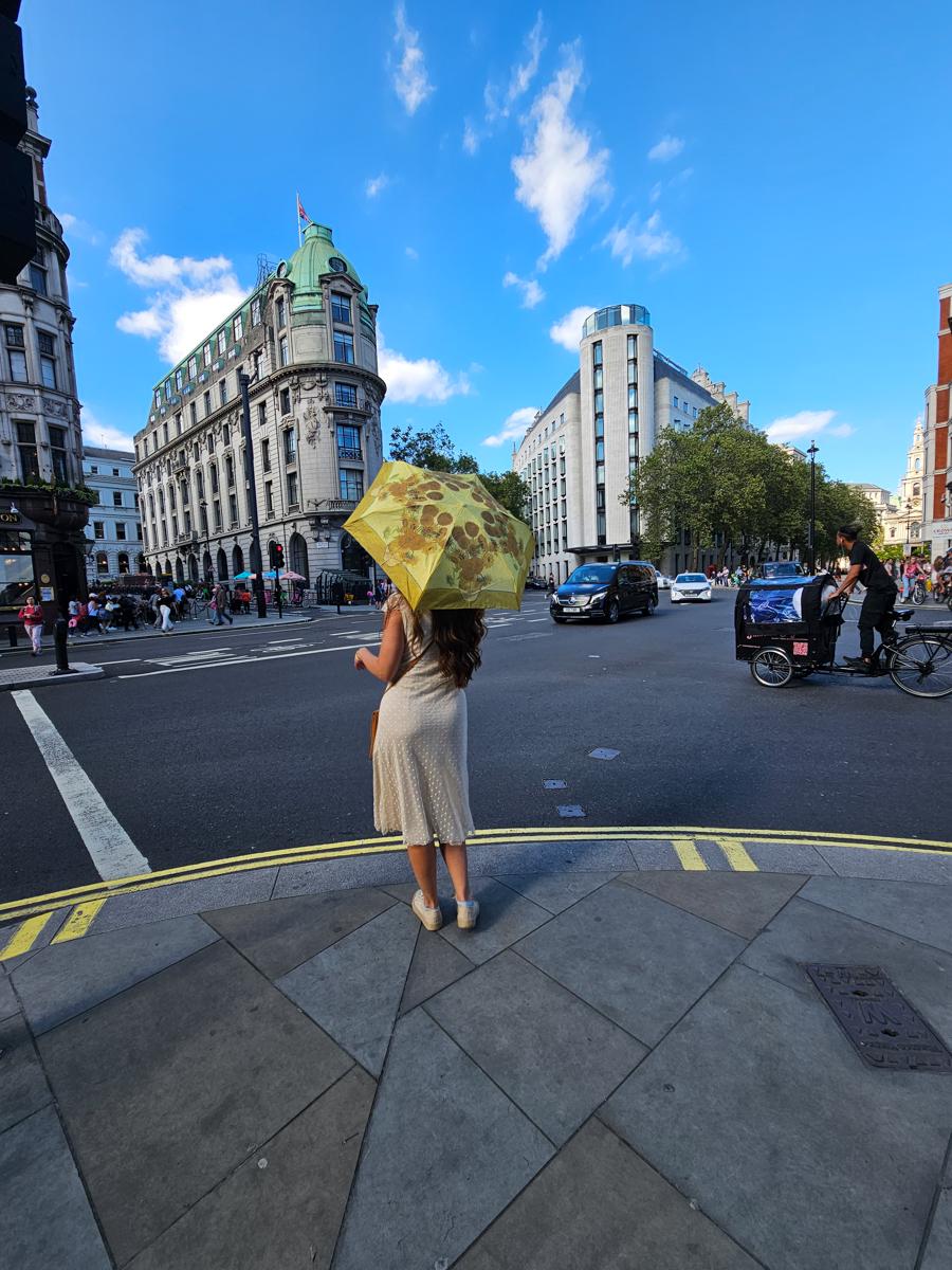 Парасолька жіноча міні Fulton The National Gallery Tiny-2 L794 Sunflowers (L794-031889) - фото 12 Парасолька жіноча міні Fulton The National Gallery Tiny-2 L794 Sunflowers (L794-031889) - фото 12