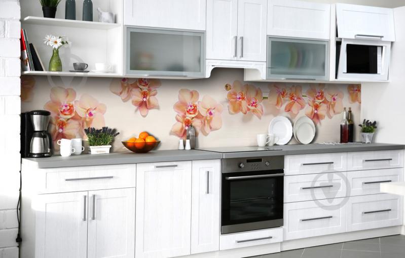 Скинали на кухню Zatarga «По кремовым следам» 600х2500 мм виниловая 3Д наклейка кухонный фартук самоклеящаяся Скинали на кухню Zatarga «По кремовым следам» 600х2500 мм виниловая 3Д наклейка кухонный фартук самоклеящаяся