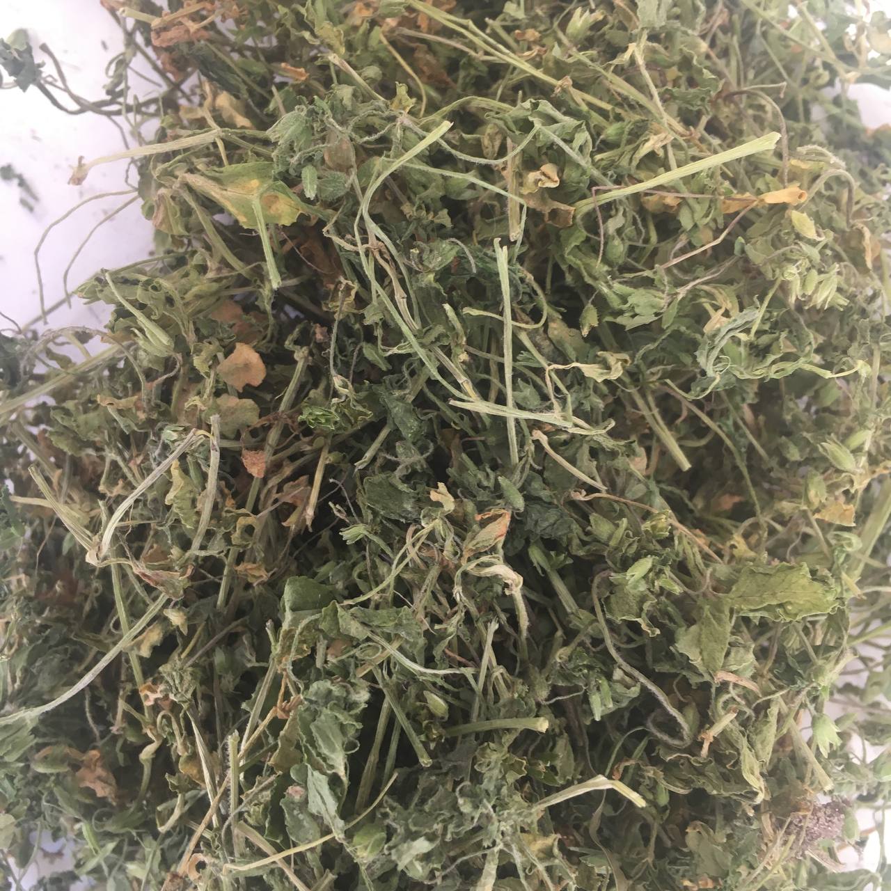 Яснотка зеленчуковая желтая Карпаты 50 г (6299f01957acac2b6d72a2b2) - фото 2 Яснотка зеленчуковая желтая Карпаты 50 г (6299f01957acac2b6d72a2b2) - фото 2