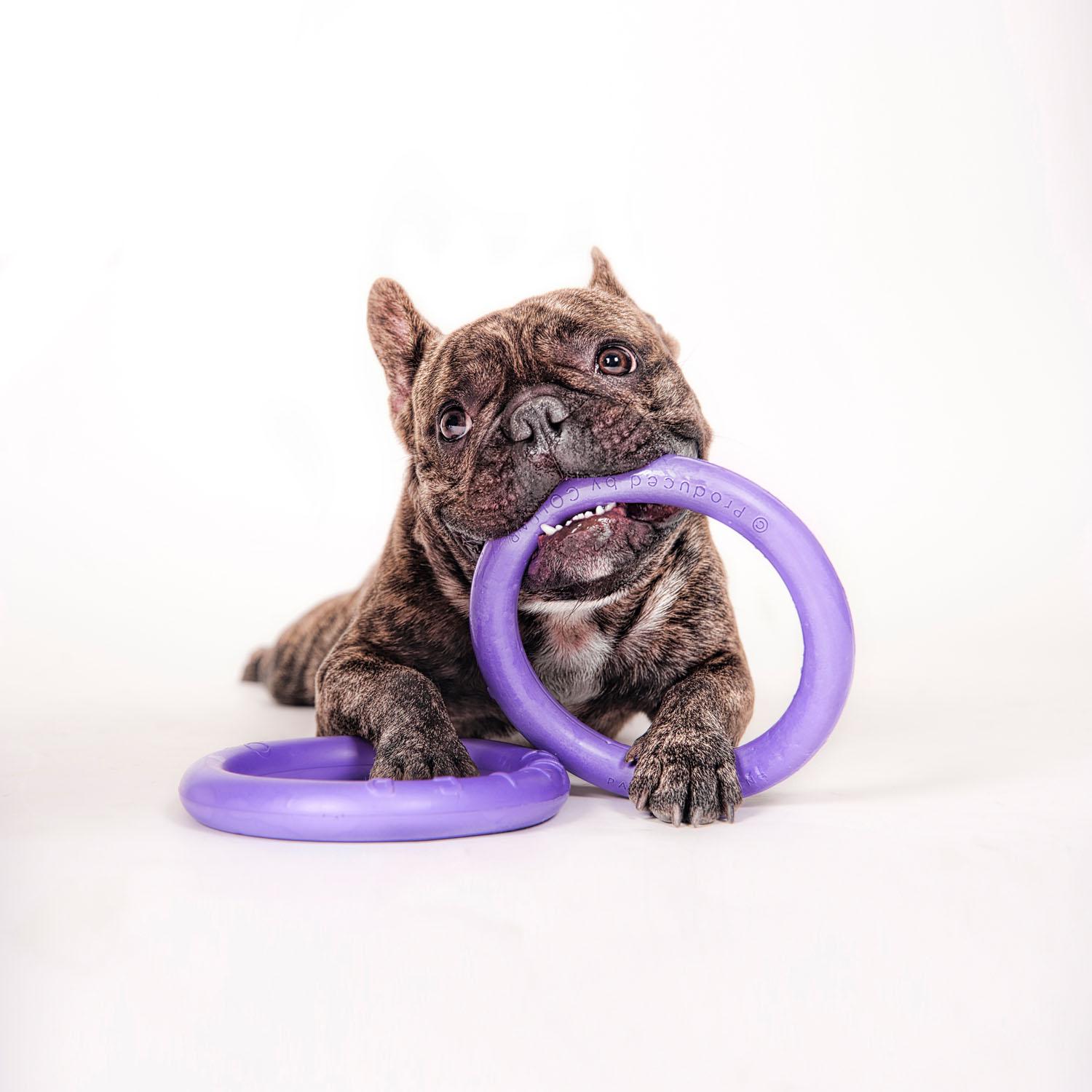 Тренувальний снаряд для собак Puller Mini 18 см (6491) - фото 7 Тренувальний снаряд для собак Puller Mini 18 см (6491) - фото 7