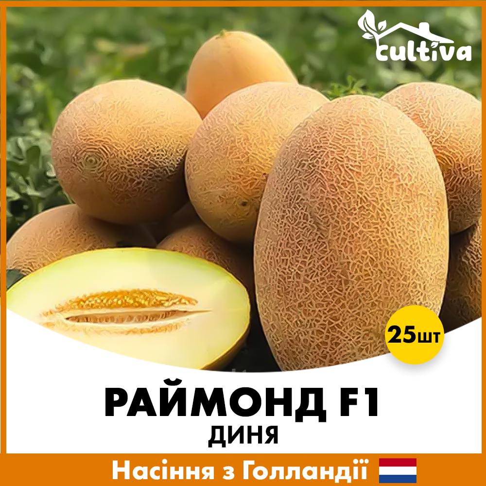 Семена дыни Hazera Раймонд F1 25 шт. (00137-25)