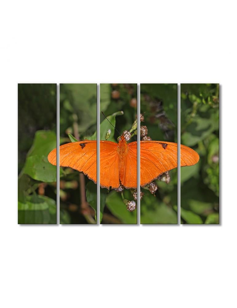 Картина модульная Паутинные бабочки 5 модулей 80x120 см