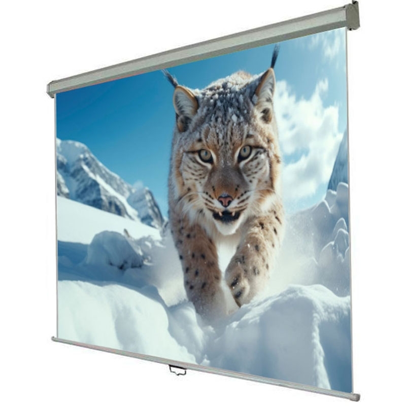 Екран проекційний Walfix SNM-5 настінний стельовий 150" 300x225 см 4:3 (tf539) - фото 4 Екран проекційний Walfix SNM-5 настінний стельовий 150" 300x225 см 4:3 (tf539) - фото 4