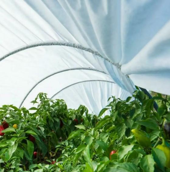 Теплица для растений Агро-Лидер 42 г/м2 8 м (ППС00008) - фото 7