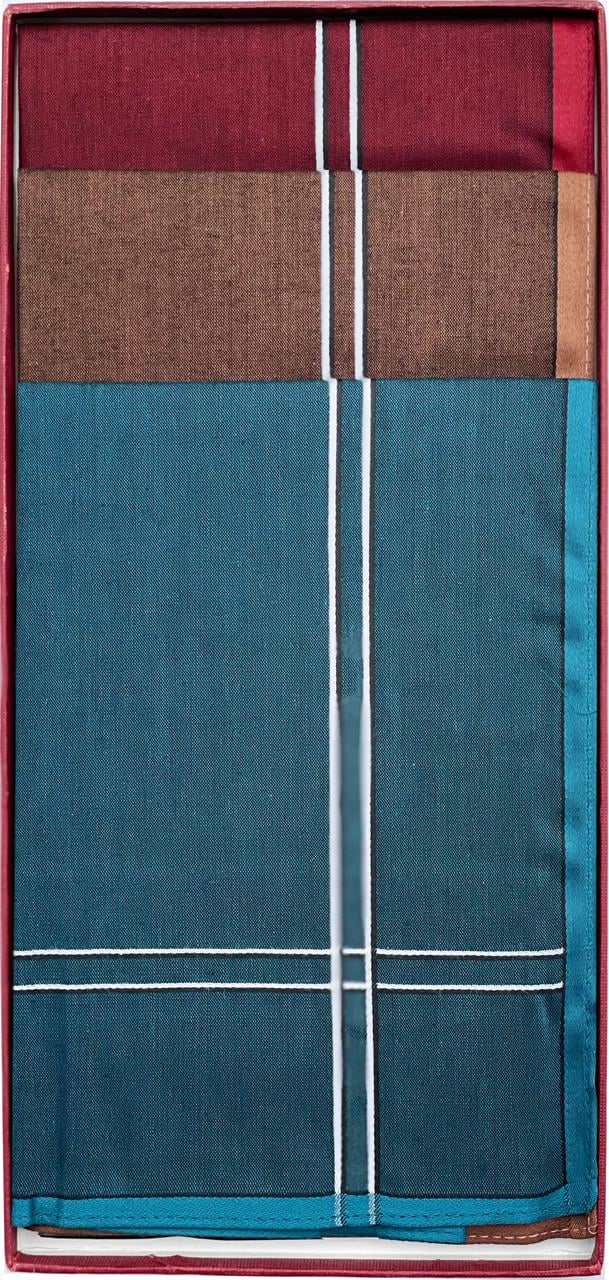 Носовые платки мужские хлопковые Guasch 104.96 D.04