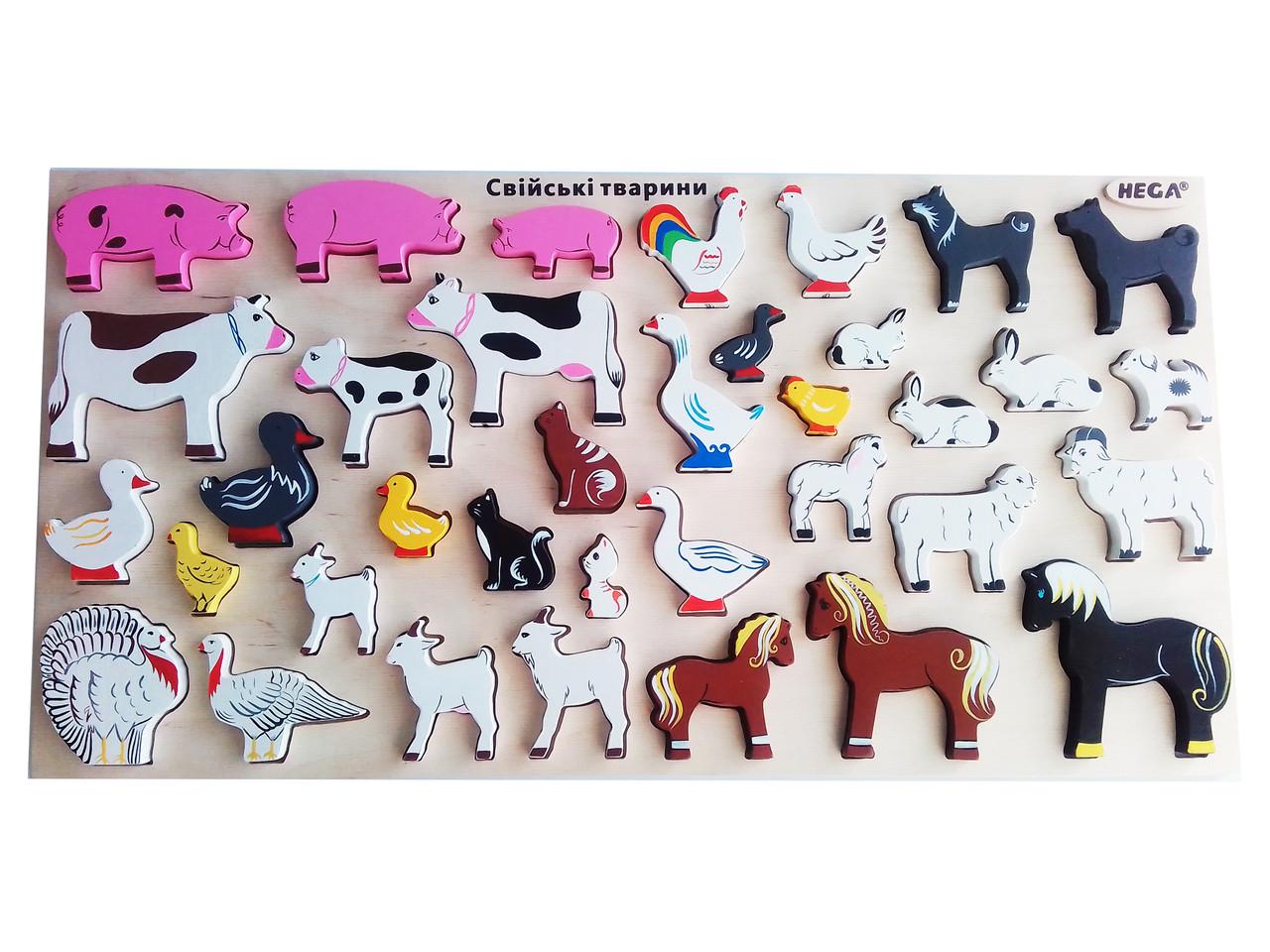 Наполнение HEGA Инклюзия абсолют (89-6) - фото 2 Наполнение HEGA Инклюзия абсолют (89-6) - фото 2