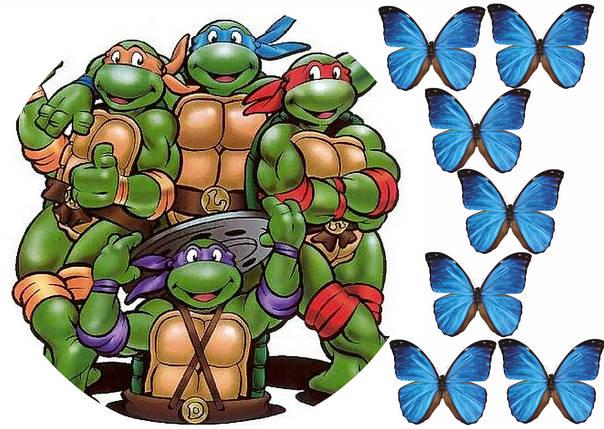 Картинка на торт вафельная Черепашки Ниндзя 6 (6051) Картинка на торт вафельная Черепашки Ниндзя 6 (6051)