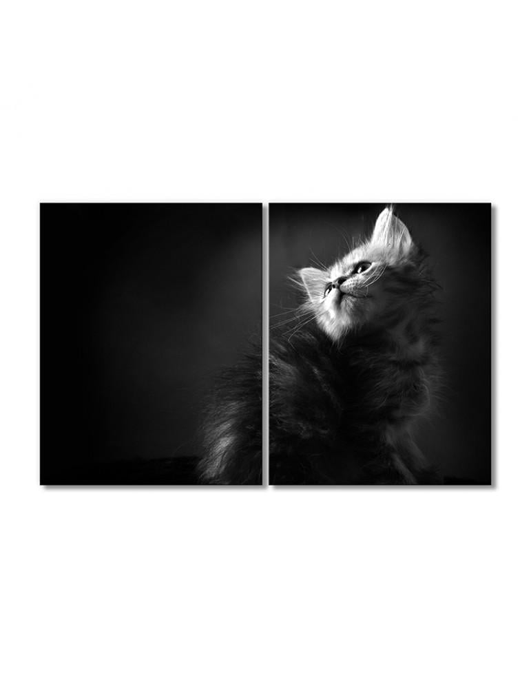 Картина модульная Пушистый котенок 2 модуля 40х60 см
