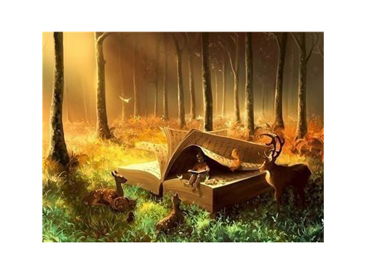 Алмазная вышивка Diy Книга леса 30х40 см