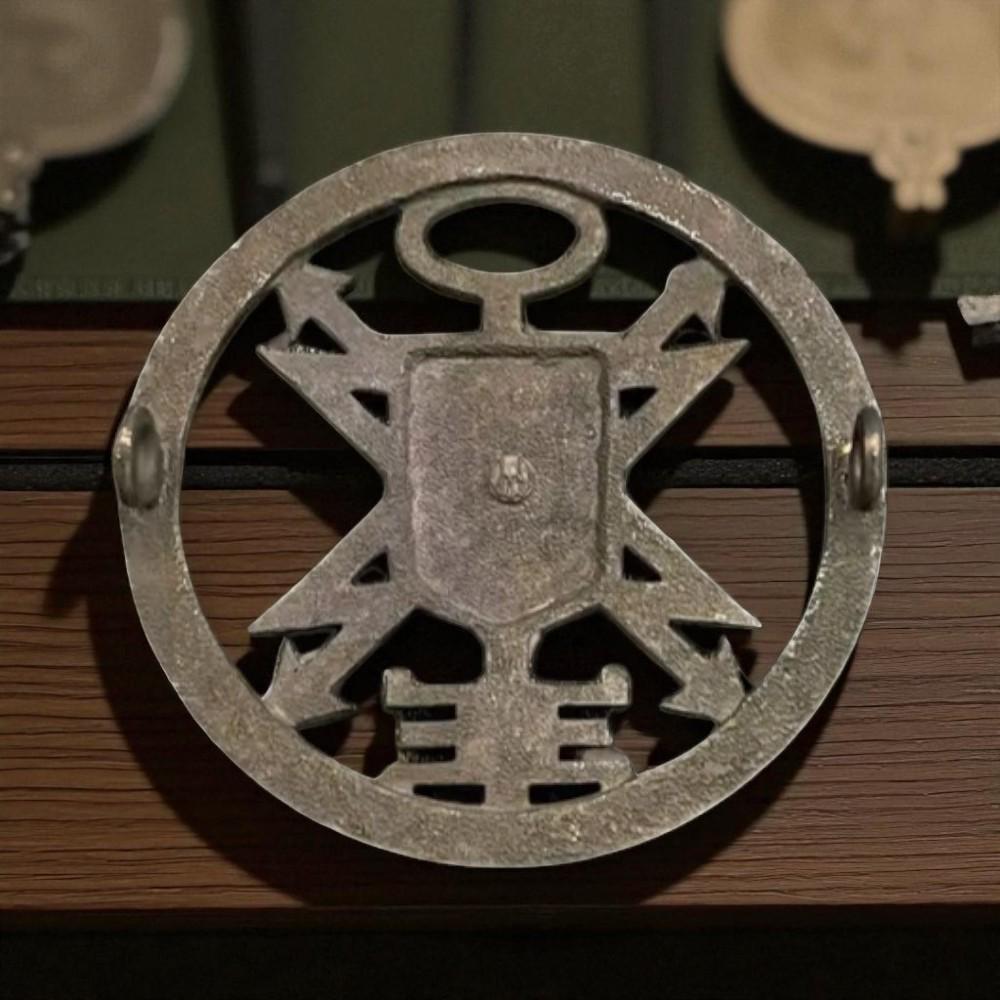 Кокарда Спецзв'язку - фото 2 Кокарда Спецзв'язку - фото 2