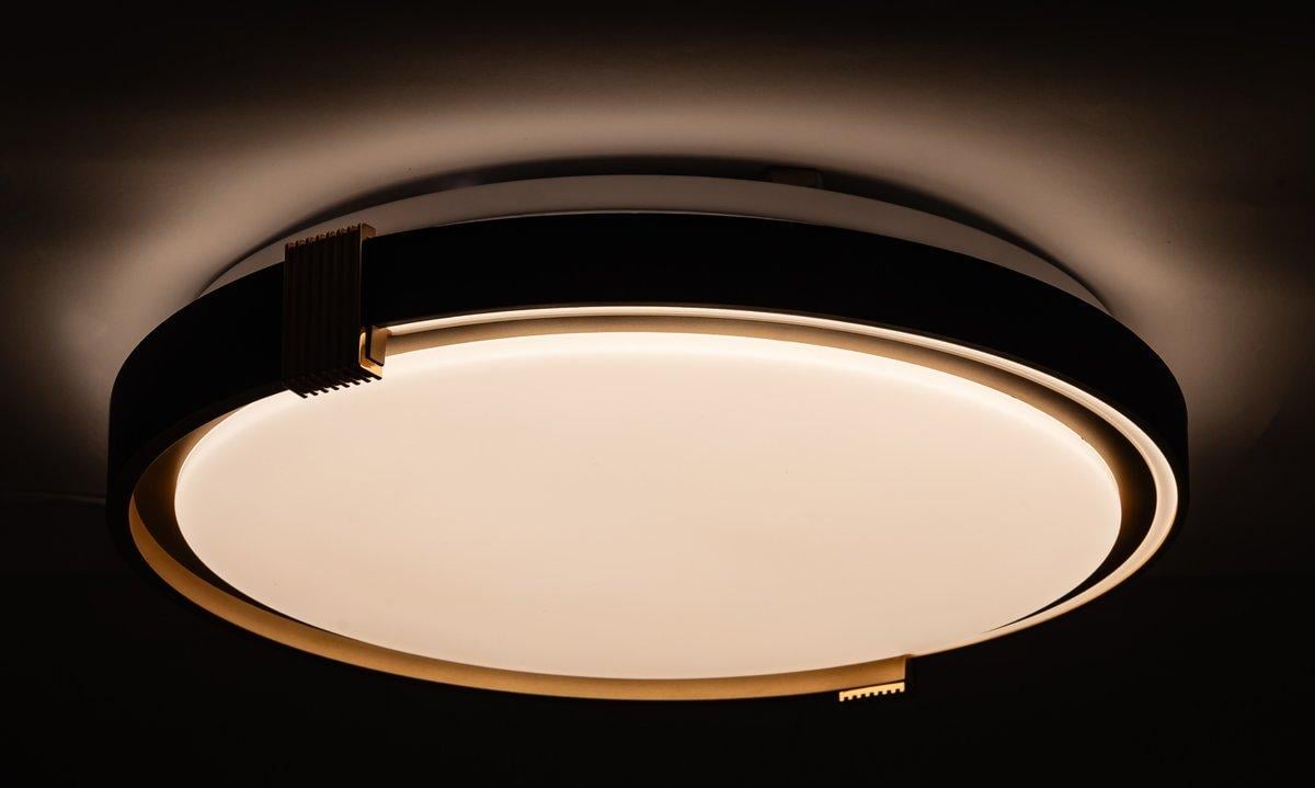 Потолочный светильник Vestum COLISEUM матовый 60W 3000К-6500К с ПУ 395х60 мм Черный - фото 4