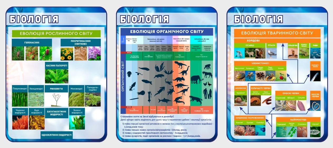 Стенд для учебных заведений "Біологія-еволюція" 1800х800 мм (КВ0020) Стенд для учебных заведений "Біологія-еволюція" 1800х800 мм (КВ0020)