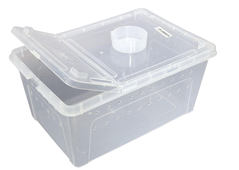 Фаунаріум Terrario Faunarium 33x22x15 см (tr-box-l) Фаунаріум Terrario Faunarium 33x22x15 см (tr-box-l)