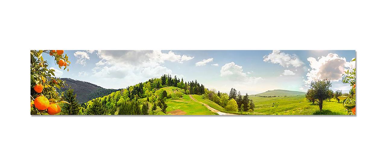 Наклейка виниловая 3D Zatarga Мандариновая роща 600х3000 мм (1274514114) Наклейка виниловая 3D Zatarga Мандариновая роща 600х3000 мм (1274514114)
