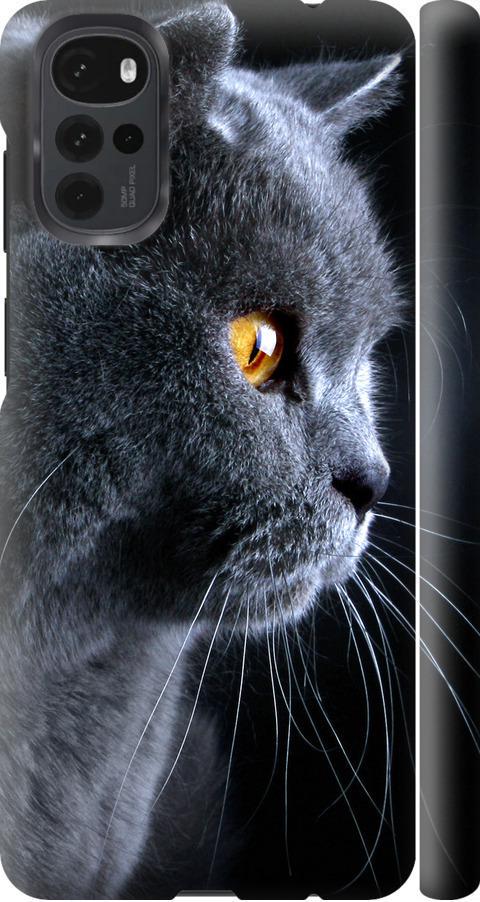 Чохол на Motorola G22 Гарний кіт (3038m-2681-42517)