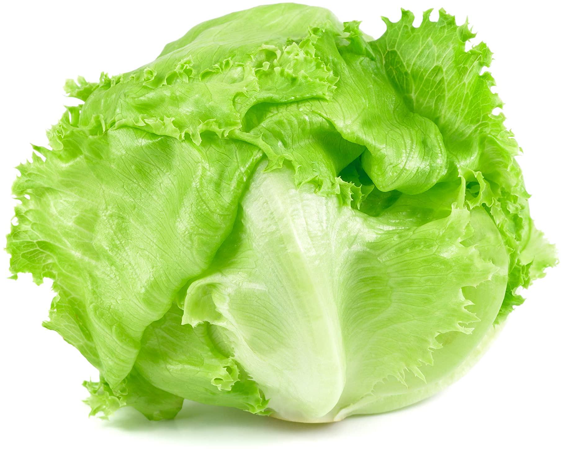 Семена Rijk Zwaan Салат Айсберг Платинас 100 шт. (234450)