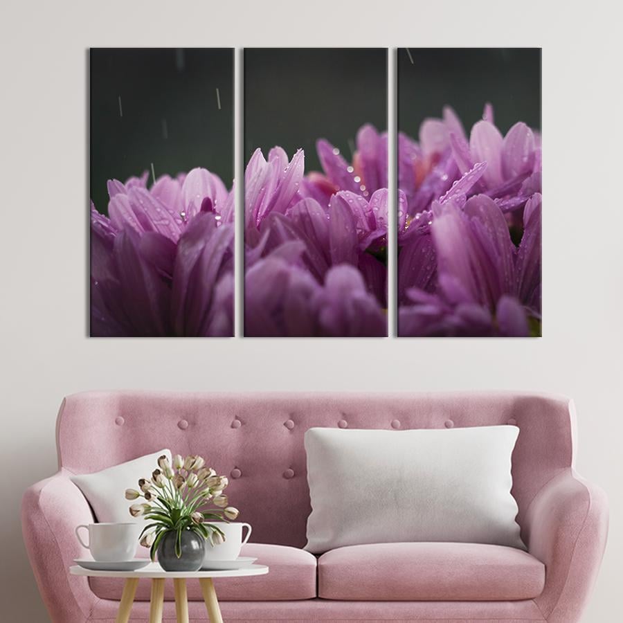 Картина на холсте триптих Лепестки нежно-розовых хризантем 156x100 см (950-31)